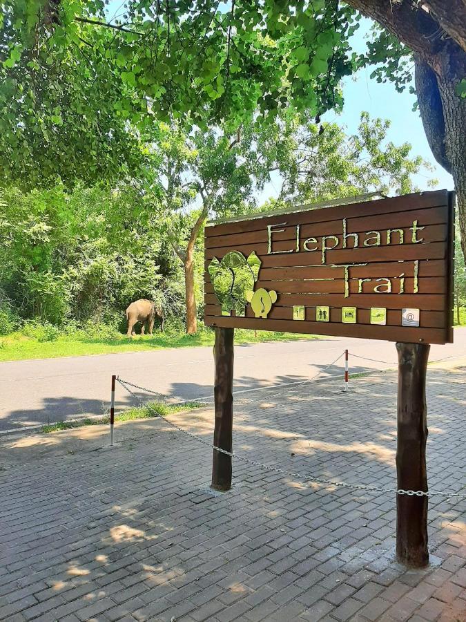 Elephant Trail Удавалаве Экстерьер фото