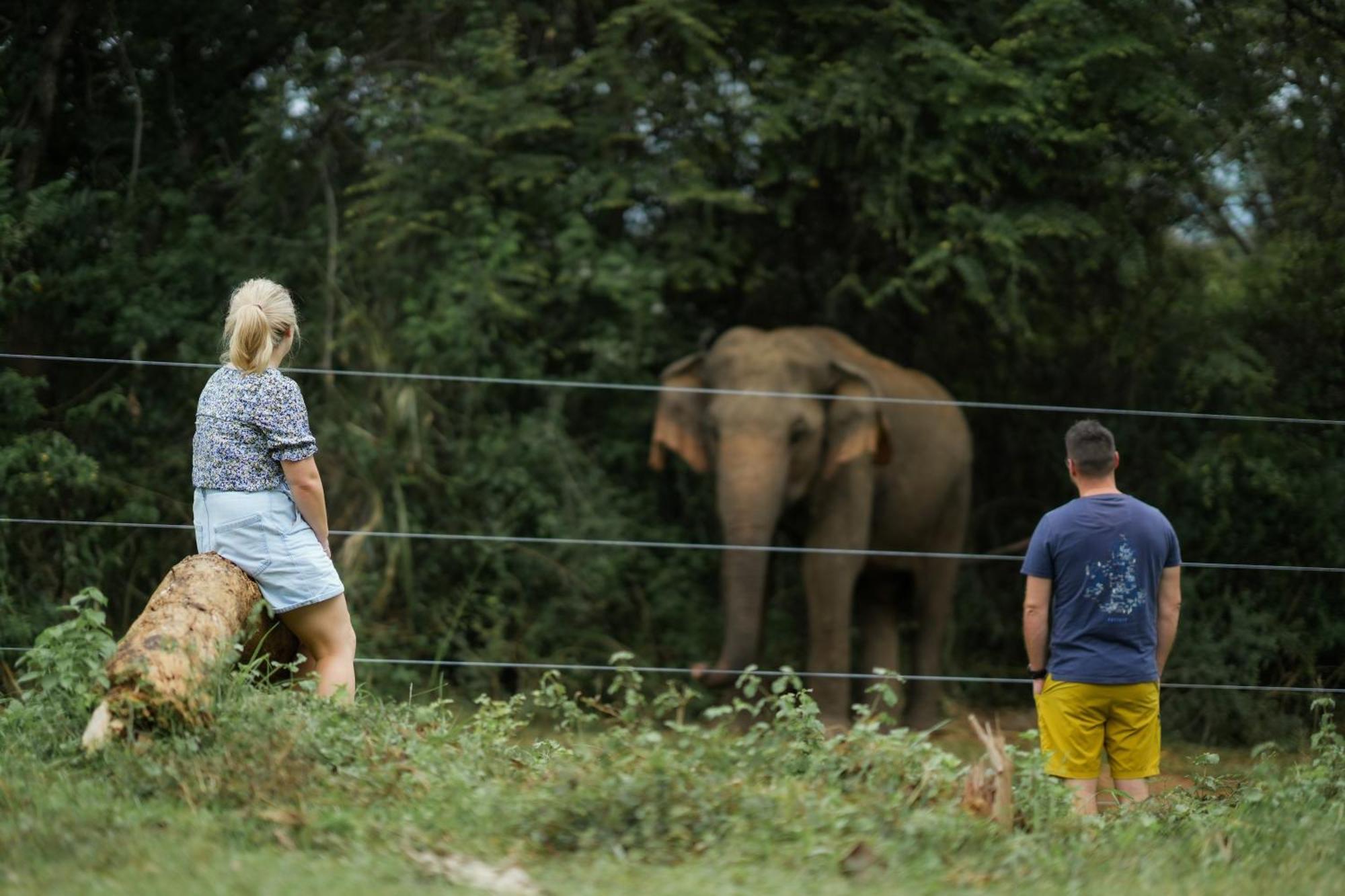 Elephant Trail Удавалаве Экстерьер фото